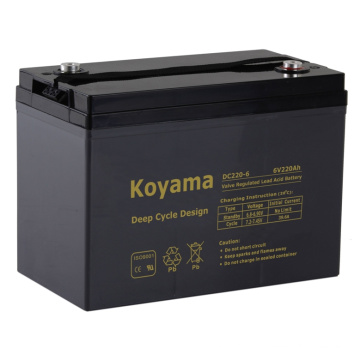 Batterie de cycle profond d&#39;aspirateur -6V220ah (DC220-6)